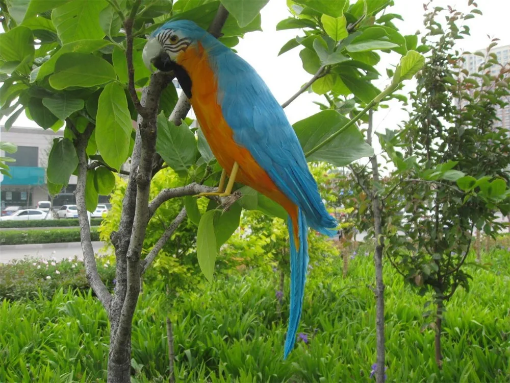 

large 40cm orange&blue coloured feathers parrot model foam&feathers pastoral handicraft,home decoration gift a1994