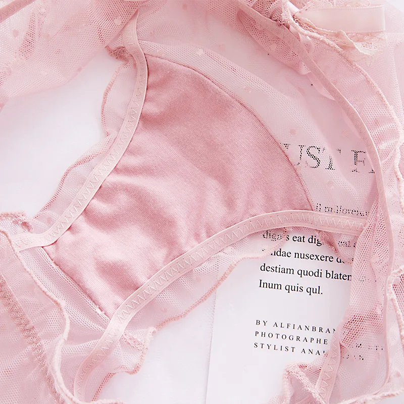 Dot Mesh Breathable Women Panties Sexy Hollow Transparent Female Underwear Bow Tie Ribbon Cute Lovely Lace Low Waist Breifs