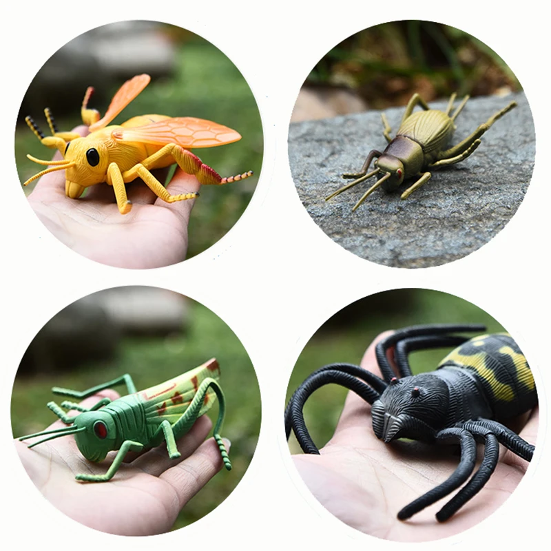 Ensemble de 16 pièces, modèle d'insecte simulé, jouet en caoutchouc, animaux de la faune, mante Beatle, figurine d'araignée