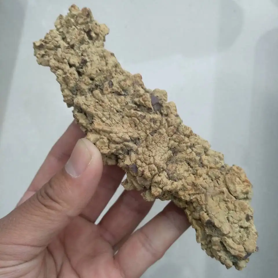 a pack  100g dinosaur poop, Dinosaur Coprolite