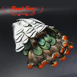 Royal Sissi 30pcs fly tying natural Lady Amherst's pheasant head crest&hackle body feathers assorted wings&tail tying materials