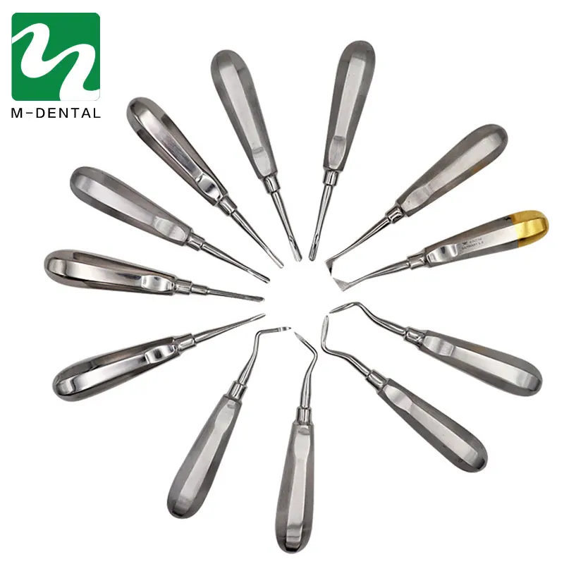 12pcs Stainless Steel Dental Luxating Lift Elevator Teeth Stright Curved Root Hexagon Handle Dentist Surgical Instrument Tool