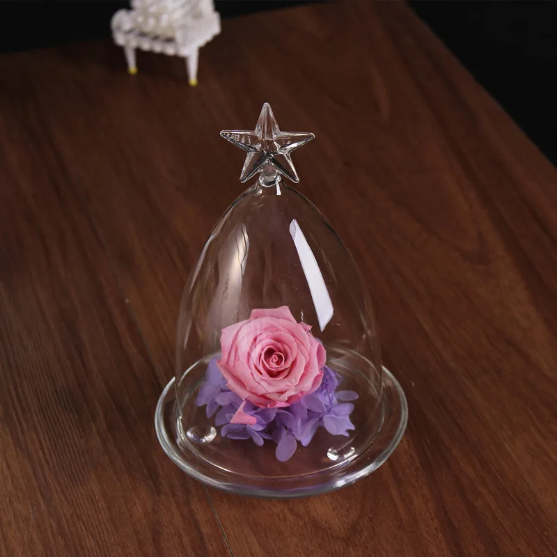 4sets/pack 10*15cm Conical Star Top Glass Dome Vase Home Decorative Different Optional Base Transparent Cover Wedding Favor Gift