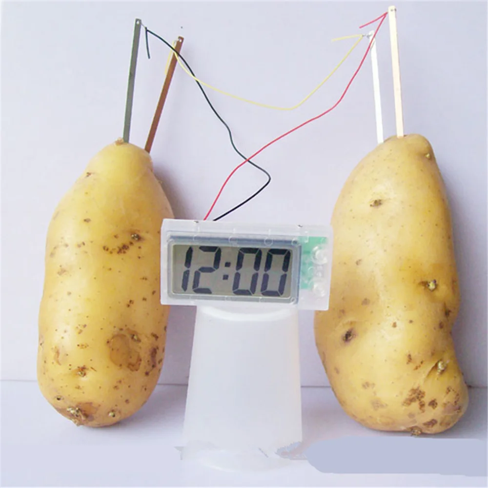 Potato Clock Science Project Experiment Kit Kids DIY Home School Lab Gifts Toy