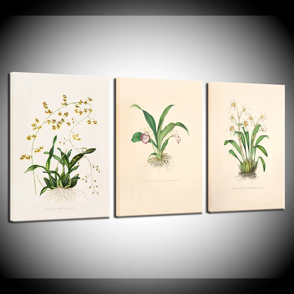 Home Decor Simple Wall Art Retro Canvas Painting Flowers Posters and Prints Wall Pictures for Living Room Drop Shipping