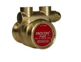 Procon 112A035F11DB130  Rotary Vane Brass Water Pump