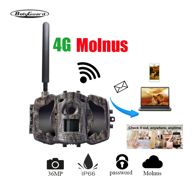 BolyGuard MG984G-36M Hunting Camera 4G 36M 1080PHD Wildlife Camera MMS EMS Waterproof Wireless Camera Thermal Imager Molnus