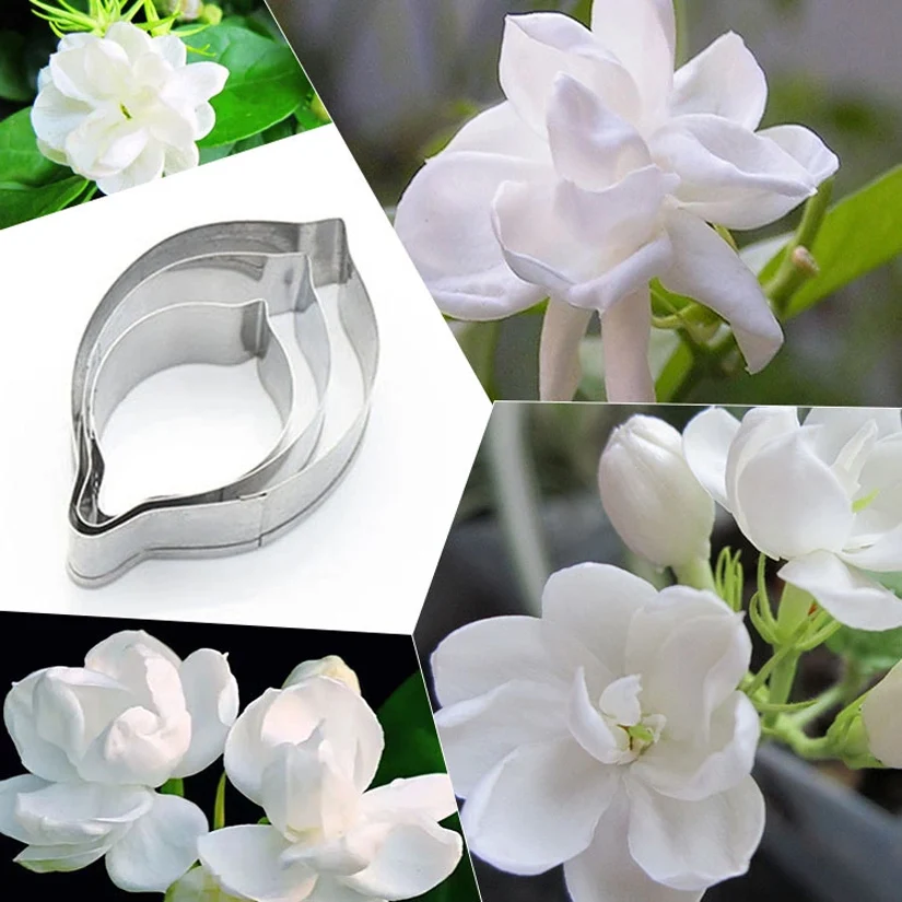 3 pcs/set Jasmine Flower Petal Cutters Set, Stainless Steel Fondant Cake Cookie Decorating Tools