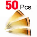 50Pcs