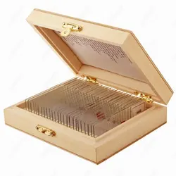 Slide for Microscope-AmScope Supplies 25 Glass Prepared Microscope Slides with Wooden Box