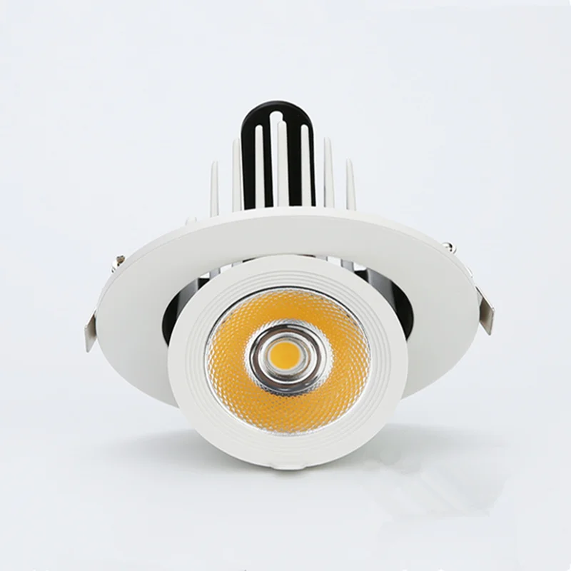 

Dimmable Led Indoor light 10W 15W 25W 30W adjustable 360 Degree led light 3000K/4000K/6000K Recessed Trunk downlight AC85-265V