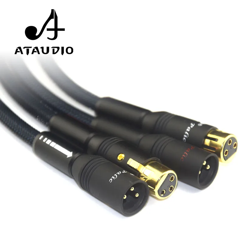 ATAUDIO posrebrzany kabel XLR Hi-end G5 Hifi 2 XLR męski na 2 XLR kabel żeński