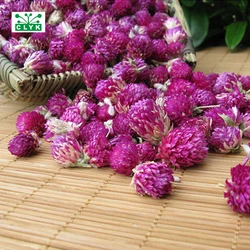 20 stks Gedroogde Bewaarde Bloem paars Gomphrena Globosa Voor Bruiloft Thuis Hotel Decoratie DIY Boeket Project Accessoire