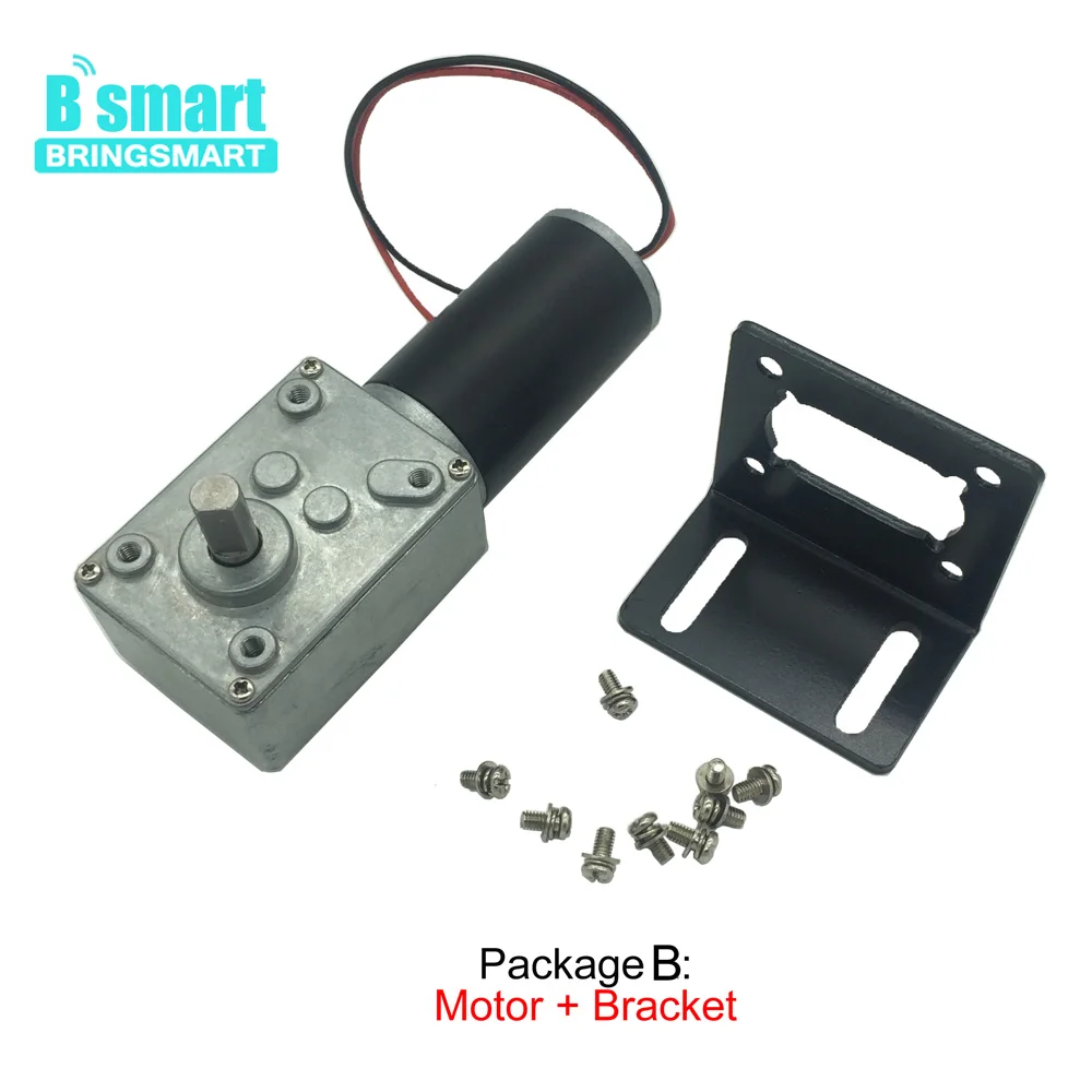 Bringsmart Worm Gear Motor DC 12V 24V High Torque Mini Gearbox Reducer Micro Motor 10-470rpm Self-lock Engine Customized Robot