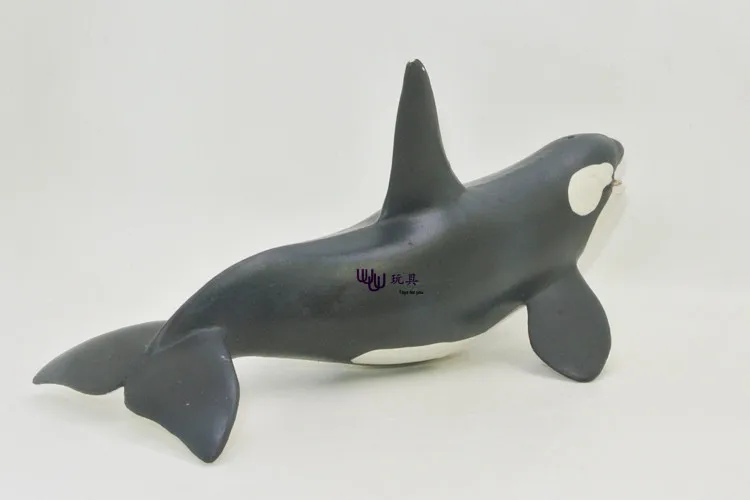 Nouveau modèle de Simulation de baleine tueur, animaux marins, animaux marins, cadeau pour enfants, accessoires éducatifs (Orcinus oca), figurines d'action