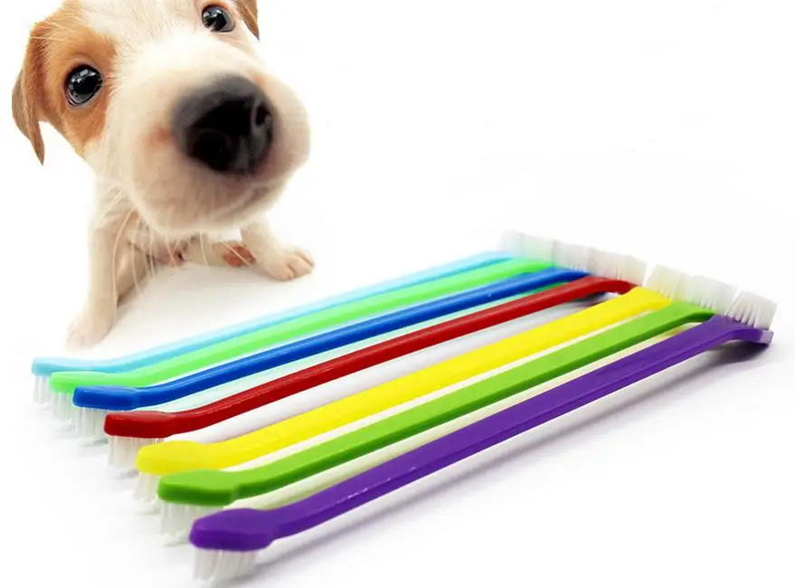 

1000pcs/lot Fast Shipping Wholesale Duel head Pet Tooth brush Dog Cat Dental Grooming Toothbrush Cleaning brush