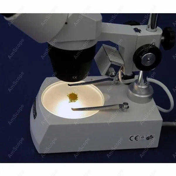 Binocular Stereo Microscope--AmScope Supplies Super Binocular Stereo Microscope 20X-40X-80X SE308-PZ