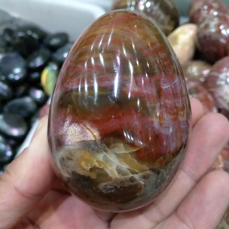 200-300g NATURAL PETRIFIED WOOD STONE HAND CARVED EGG