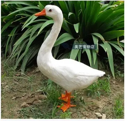 

big new simulation duck toy lovely white lifelike duck about 25x14x38.5cm