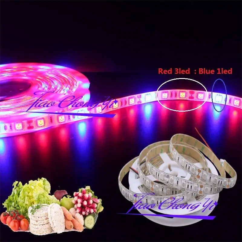 

5M 5050 Red 3LED +Blue 1LED Grow Light Strip Lamp For Indoor Plants Flower Plant