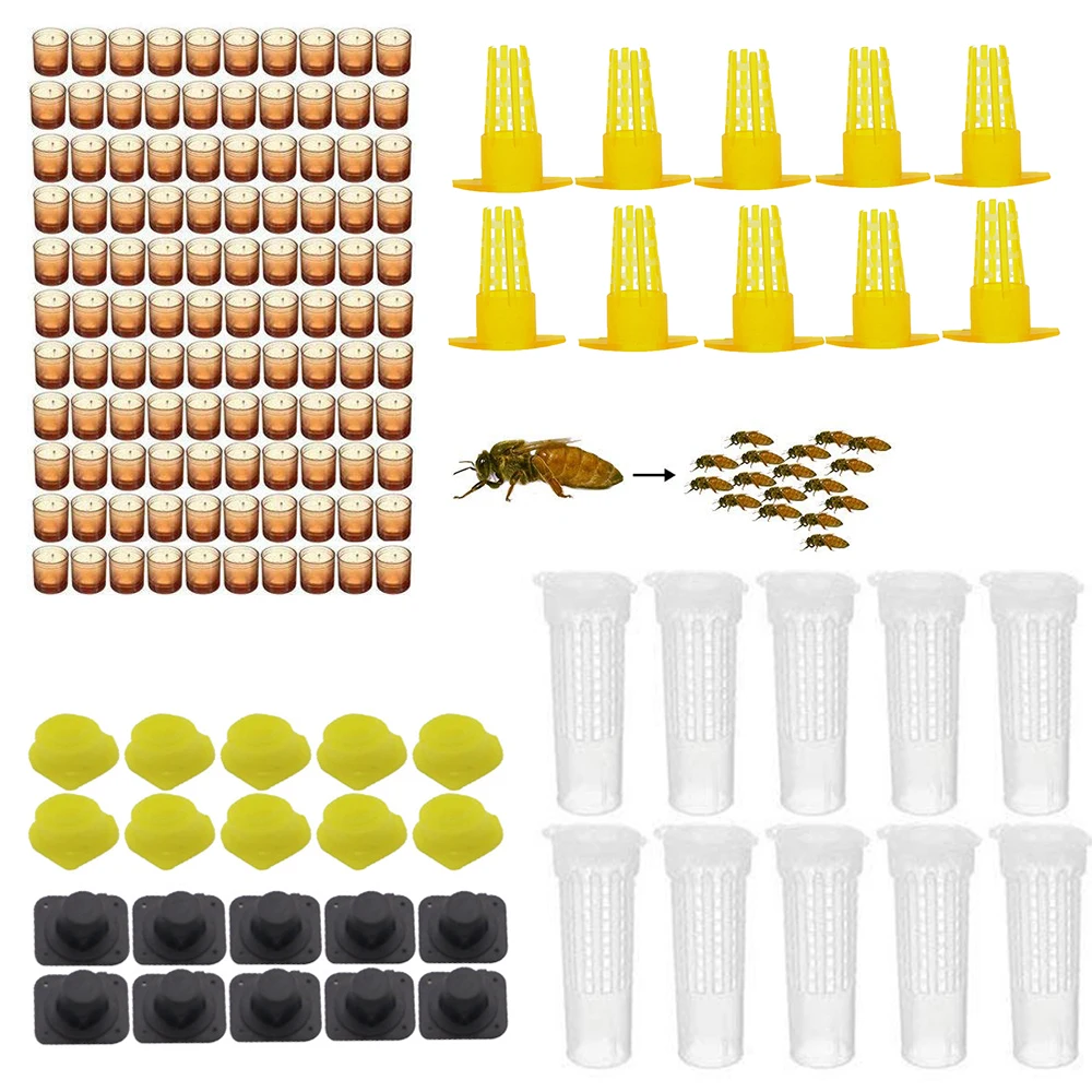 Complete bee queen king rearing kit system cages bees tools set supplier tool equipment base celular cells cell beekeeping sale