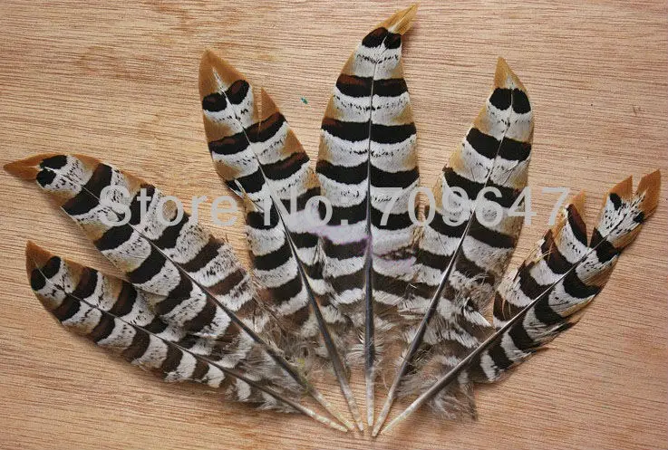 

Fly tying materials! 30Pcs/Lot 10-13cm REEVES VENERY PHEASANT WING FEATHERS,Loose Reeves Pheasant Feathers for Jewelry Making