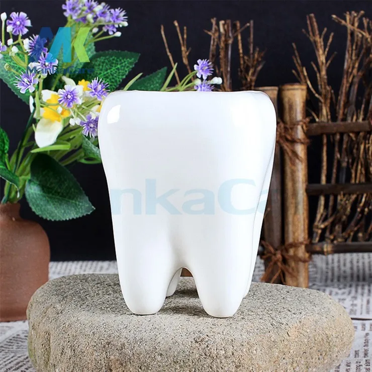 2 Pcs Tooth Shap Pastoral Style White Ceramic plant Pots Teeth model Flowerpot Flower Garden Pots Pencil Vase Dental gift