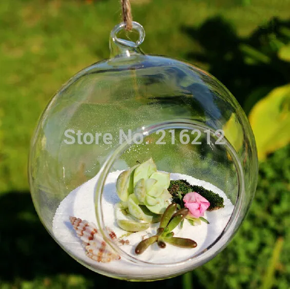 Fashion Hot Borosilicate Glass Hanging Vase & Tabletop Vase Home Decor Diameter 8cm Transparent