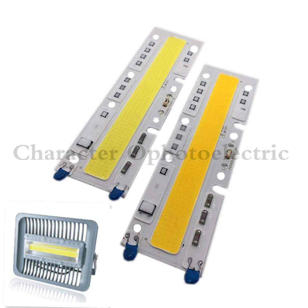 5ks LED klas lamp střídavého 220V 110V lehký 100W s chytrý IC bílá / teplý bílá pro outdoorové DIY floodlight