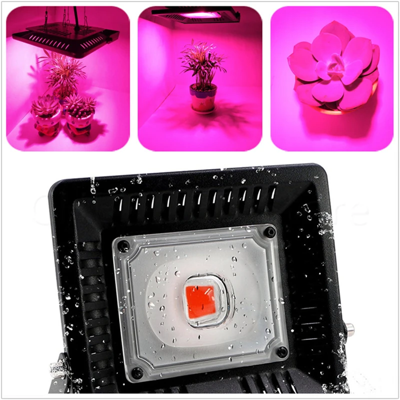 Led Grow Flood light 200W 300W AC220V 110V IP67 Waterproof Full spectrum 380-780nm For Seeding Plant With EU Plug Growth Lamp