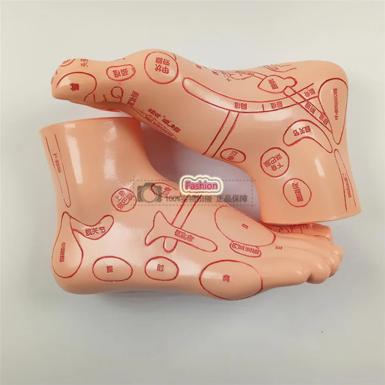 Free Shipping!! New Style  Acupoint Mannequin Accessories Mannequin Hand& Foot Hot Sale