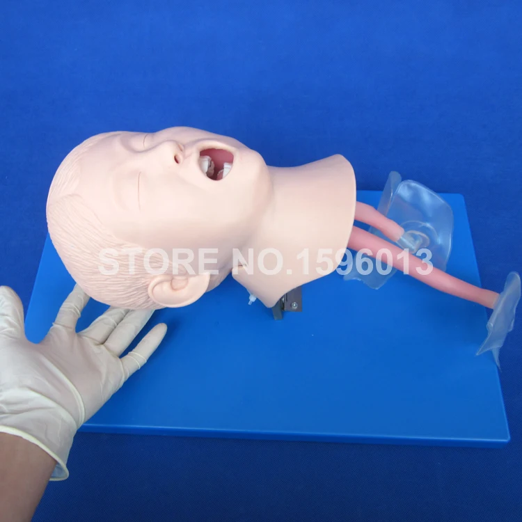 High Quality Child Trachea Intubation Model,Intubation Training Model with Soft and Vivid Head and Trachea