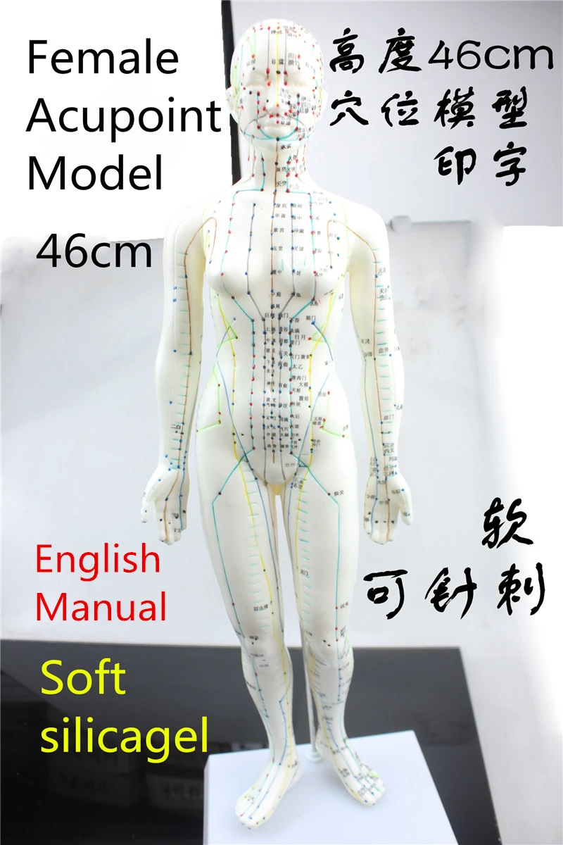 HD Soft silicagel Acupuncture Model 46cm female with Base Human acupuncture meridians model Acupoint Model Acupuncture massage