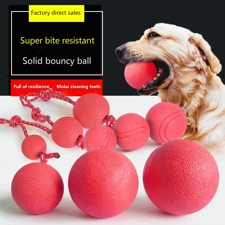 Training Dog Bite-Resistant Bouncy Ball, Pet Bouncy Toy, Solid Rubber Bounce, Wear Rope