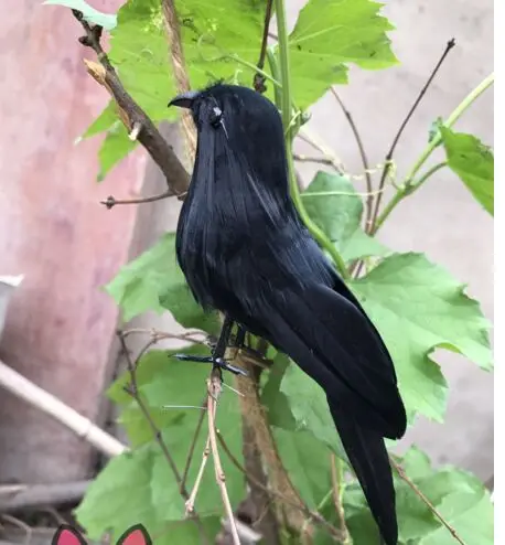 

about 15cm small bird black feathers crow bird handicraft prop,home garden decoration gift p0403