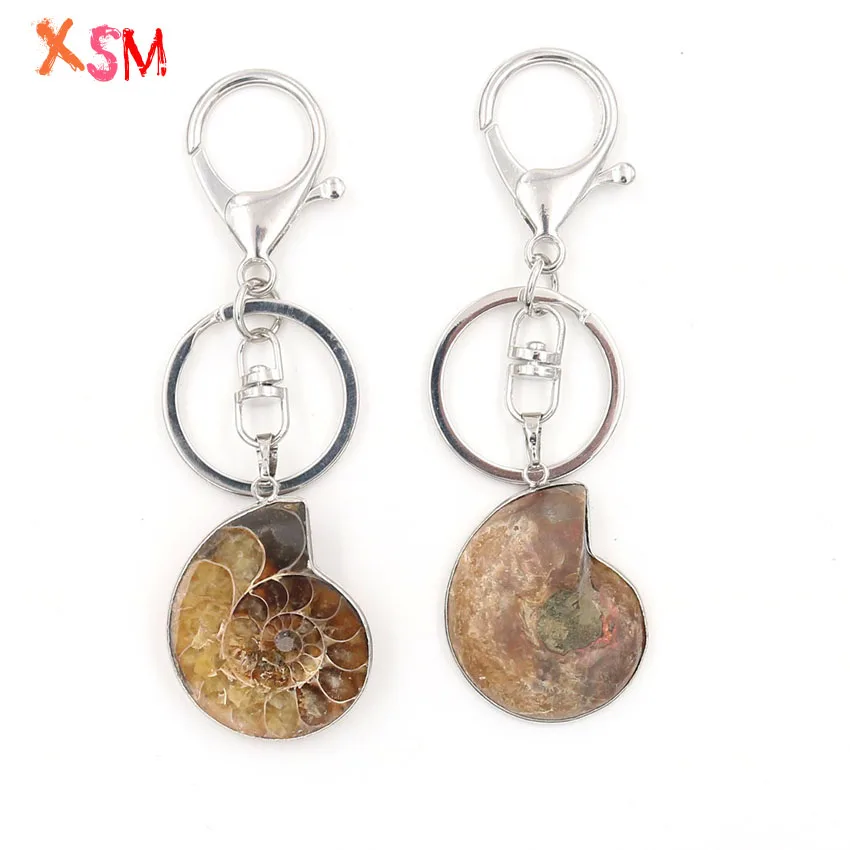 XSM Natural Stone Ammonite Seashell Snail Pendants Keychains Hanging Bike Car Buckle Key Rings for Women & Men Gift