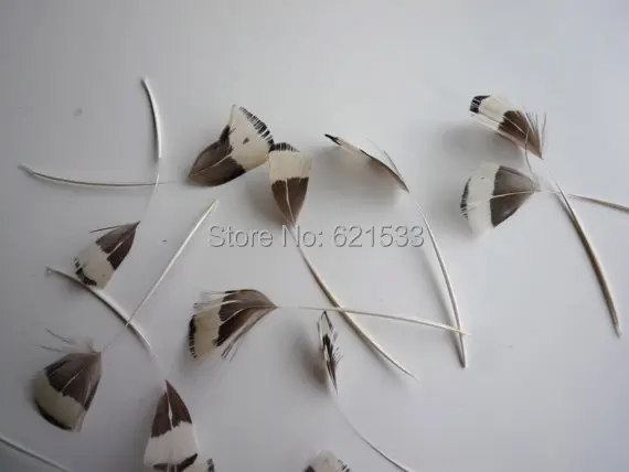 100Pcs/lot,4-6CM Shredded White LADY AMHERST Pheasant Feathers,loose small stripped feathers