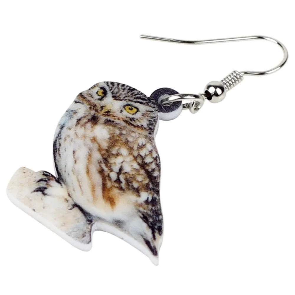 Bonsny Acrylic Unique Burrowing Owl Bird Earrings Big Long Dangle Drop America Animal Jewelry For Women Girls Teens Gift Charms