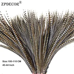 ZPDECOR Natural Lady Amherst Pheasant Feathers Size 100-110cm 40-44 Inch for Carnival