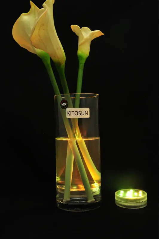 Multi Color Submersible 10 LED RGB Light Party Vase Underwater Waterproof Remote Control Lamp