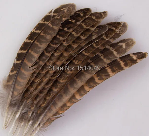 Free shipping wholesale 100pcs high quality natural turkey feathers 12-18cm / 5-7inch variety of decorative and collect