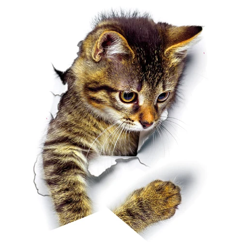 Leuke katten muursticker Hole View Levendige honden badkamer 3D toiletstickers voor huisdecoratie dieren stickers zelfklevende poster