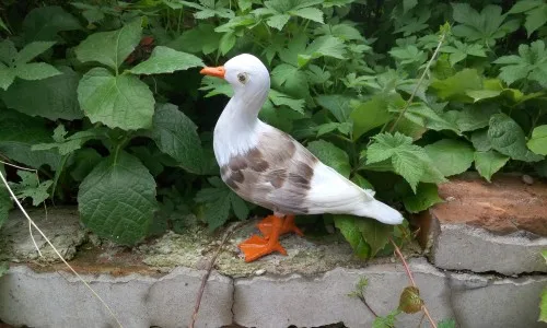 about 23x20cm simulation seagull model toy lifelike model,home decoration gift t366