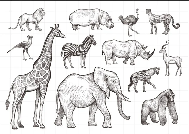 Animal world stamp Clear Stamp for Scrapbooking Transparent Silicone Rubber DIY Photo Album Decor