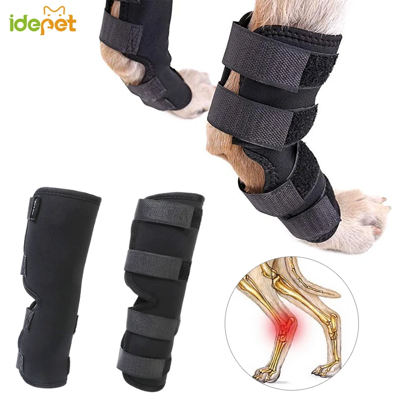 

1 Set Pet Dog Bandages Dog Leg Knee Brace Straps Protection for Dogs Joint Bandage Wrap Doggy Medical Supplies Dogs Accessories3