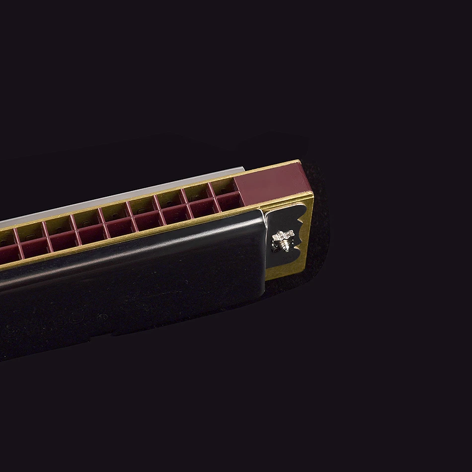 Swan Harmonica com Case, Tremolo, Instrumento Musical, Brinquedo Educativo, Harmônica para Adultos, Iniciantes, Iniciantes, 28 Buracos