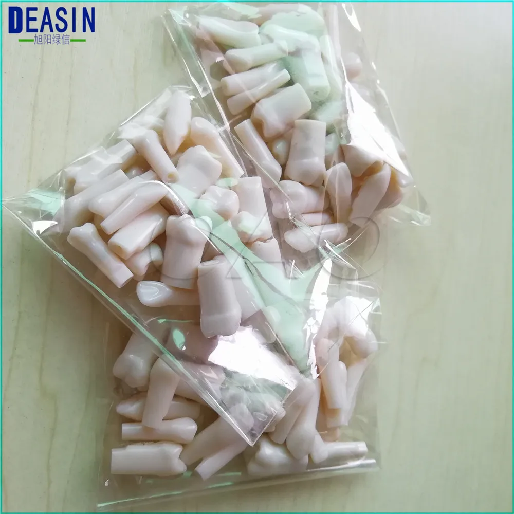 28pc/set Permanent Teeth Models Full month Dental gift s Dental Tooth Preparation Model Tooth Teaching Model Tooth Grain