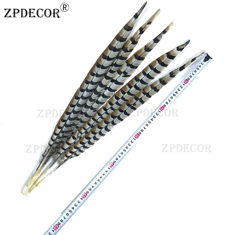 ZPDECOR 55-60CM 22-24 Inch Pheasant Feathers Natural Pluma