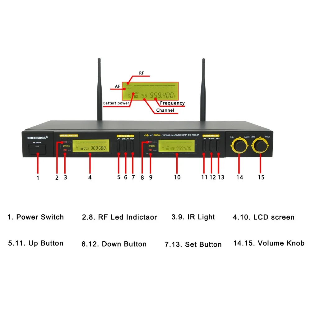 FREEBOSS UHF Wireless Microphone System 2 vie 100 canali frequenza IR Wireless Dynamic Mic FB-U12 per Home Karaoke KTV Party