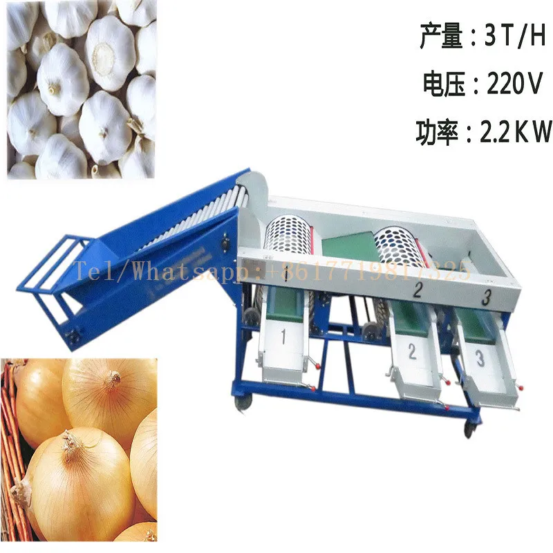 

Automatic Garlic Bulb Sorting Machine| Garlic Onion Grading Machine| Onion Garlic Classifying Machine